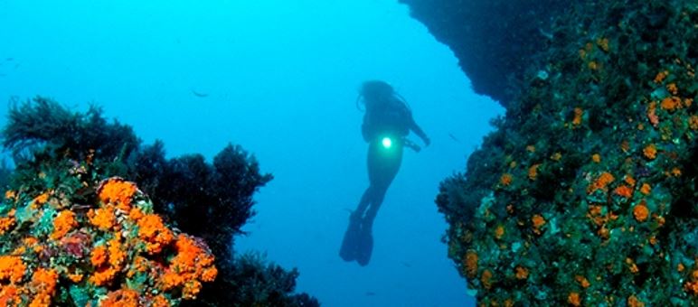 Centro de Buceo Ocean Addicts