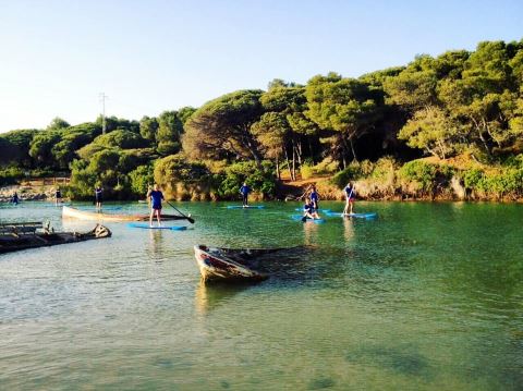 Paddle - O'Neill Surf Academy Spain